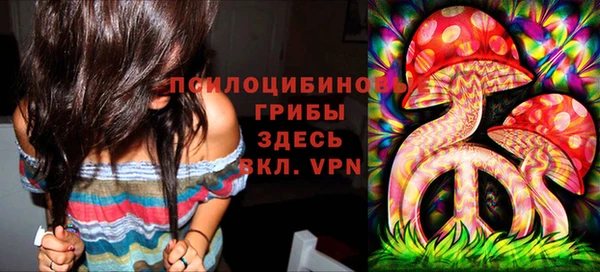 ПСИЛОЦИБИНОВЫЕ ГРИБЫ Армянск
