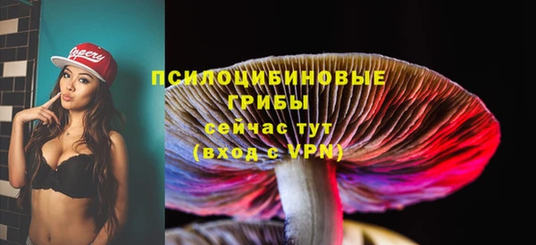 ПСИЛОЦИБИНОВЫЕ ГРИБЫ Армянск